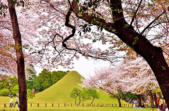 Suizenji Jojuen Garden