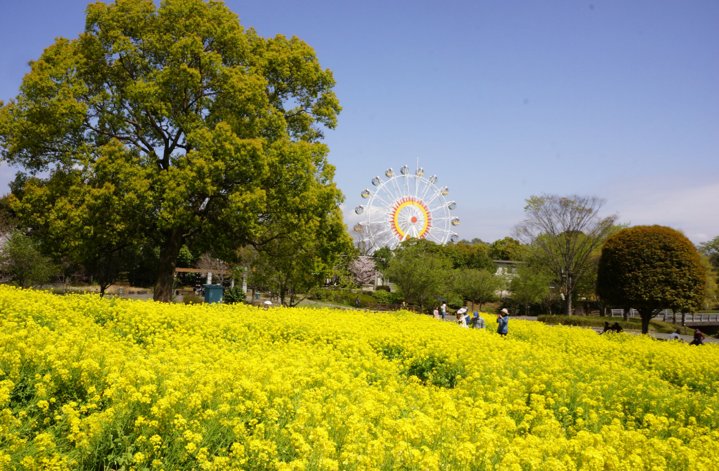 熊本市動植物園