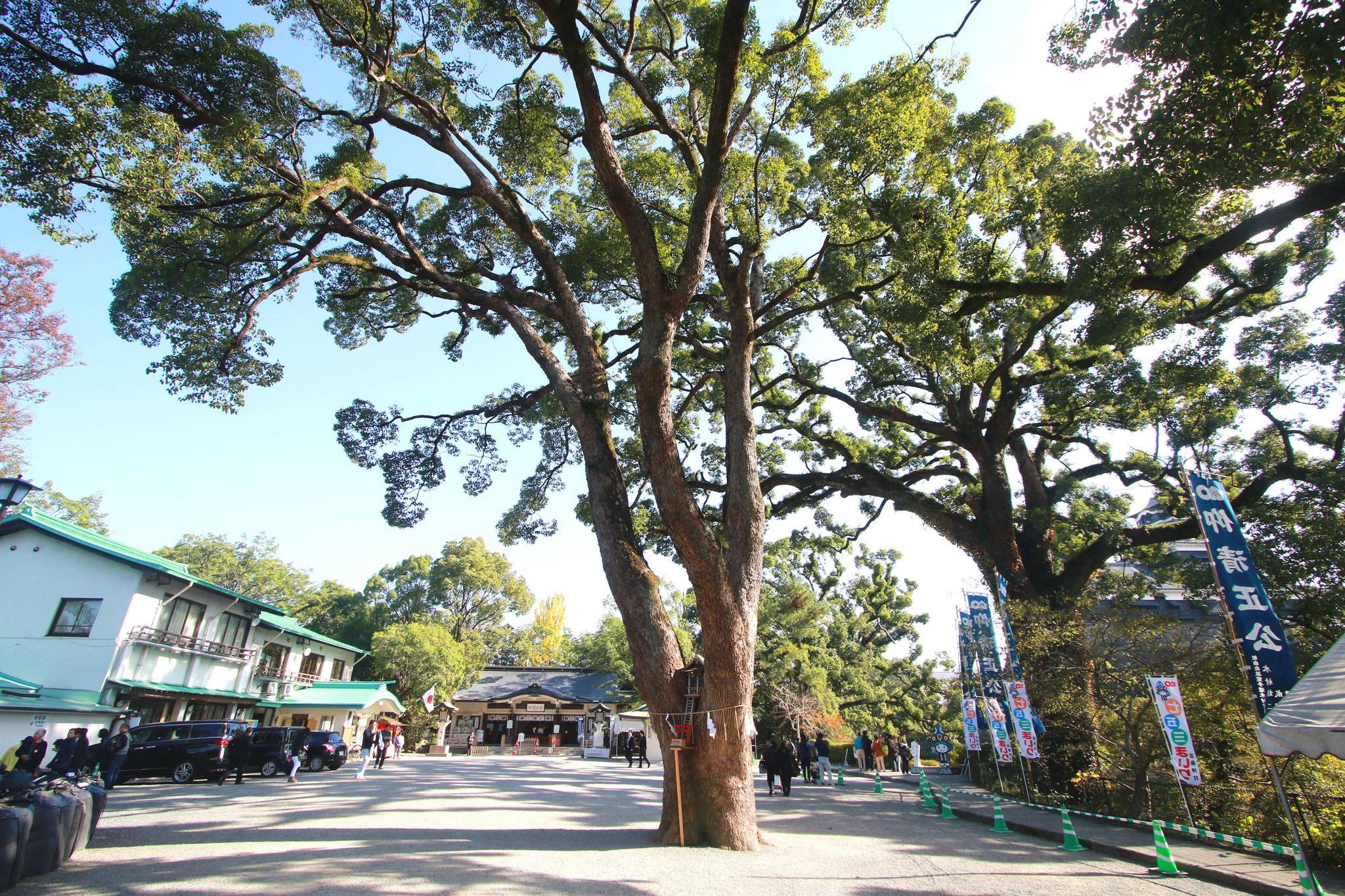 加藤神社