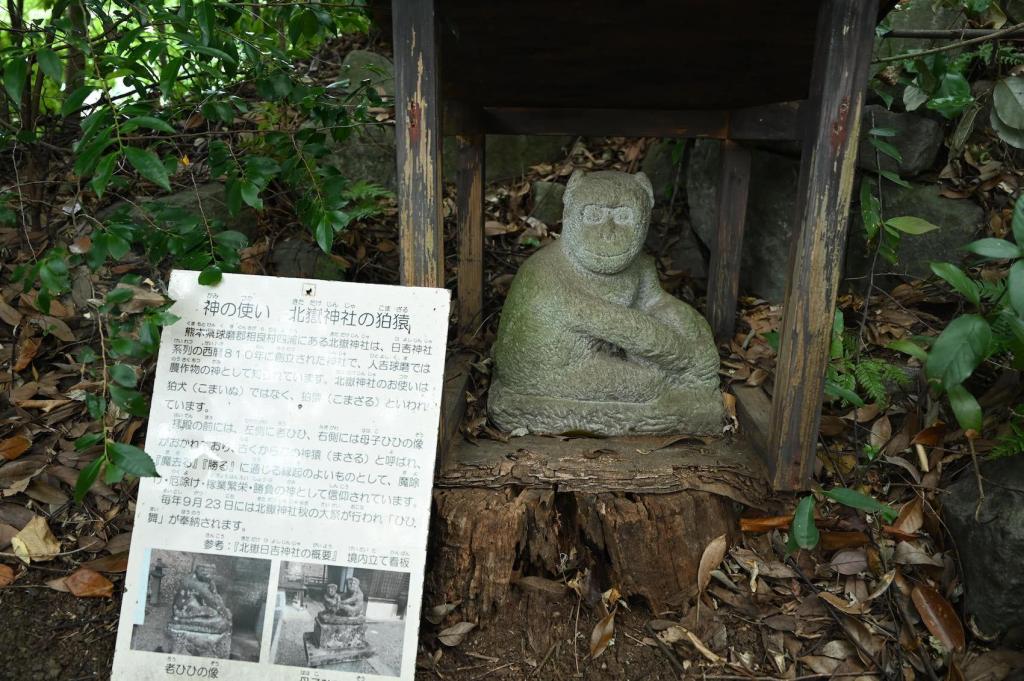 相良村の神社にある狛猿を再現した展示も！