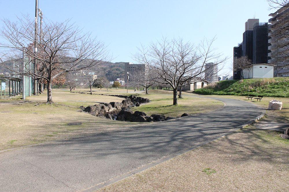 駐車場から「ひごっこジャングル」までの遊歩道