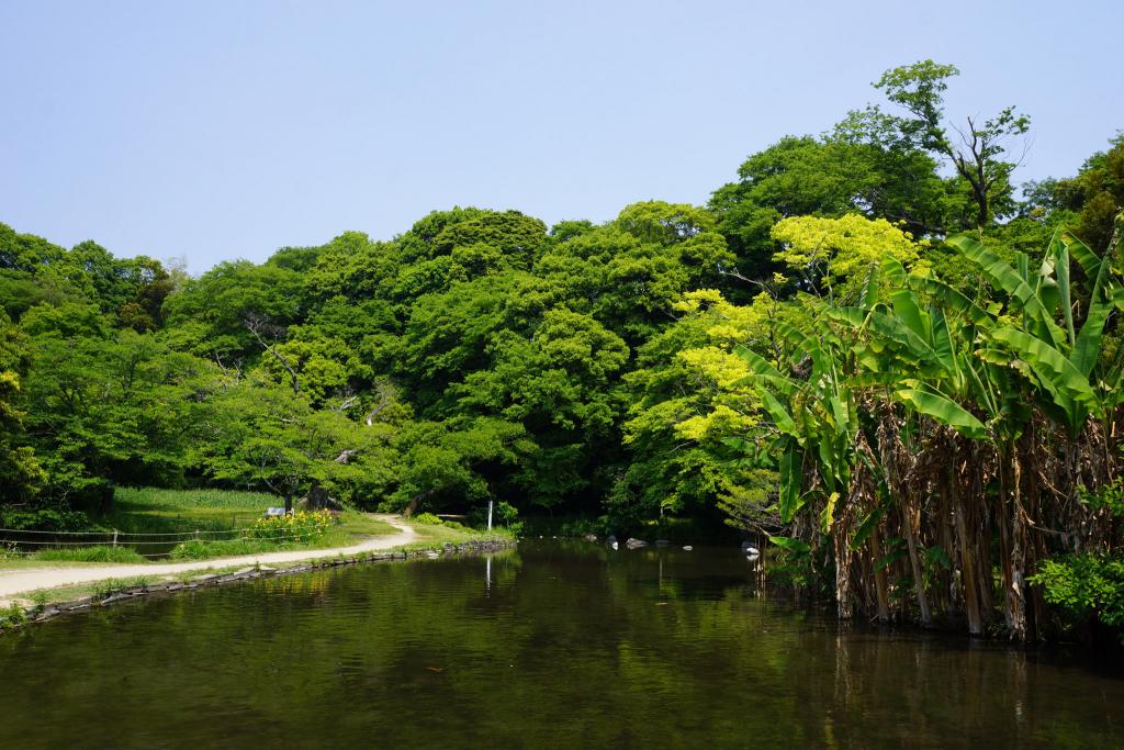 八景水谷公園