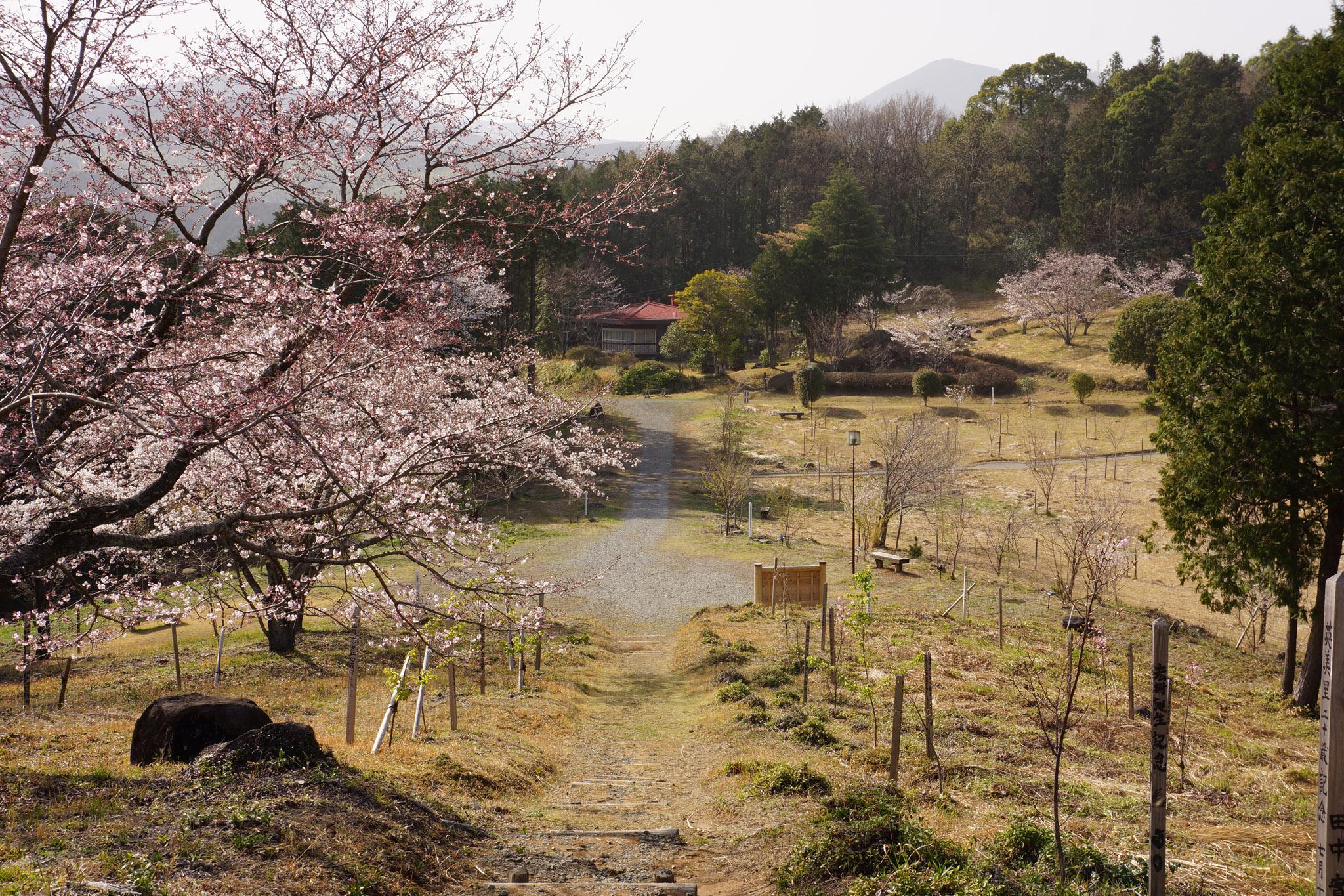 小萩園