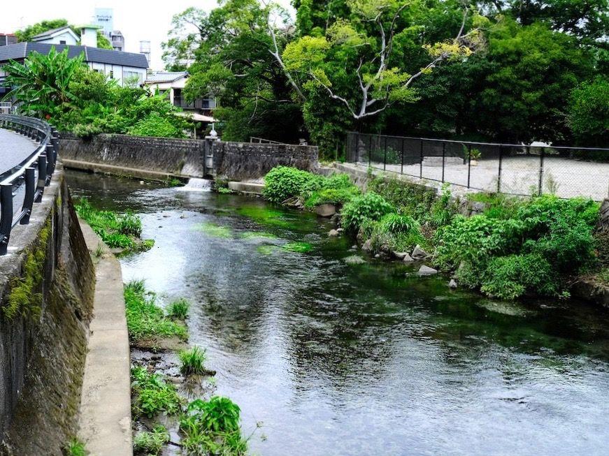 川底が見えるほど透明度の高い藻器堀川