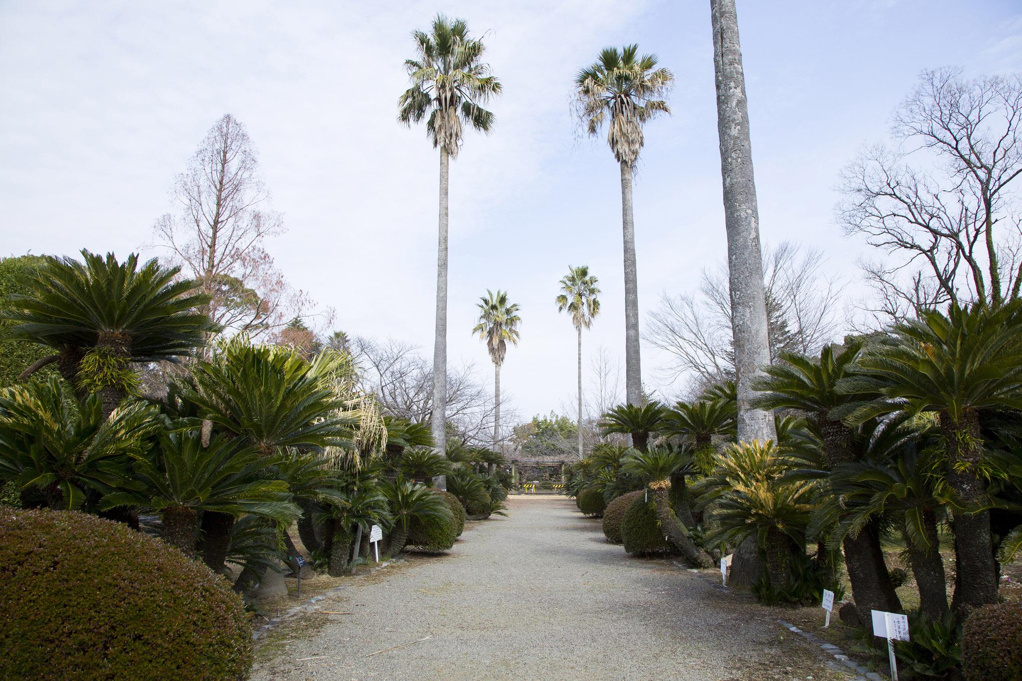 監物台樹木園