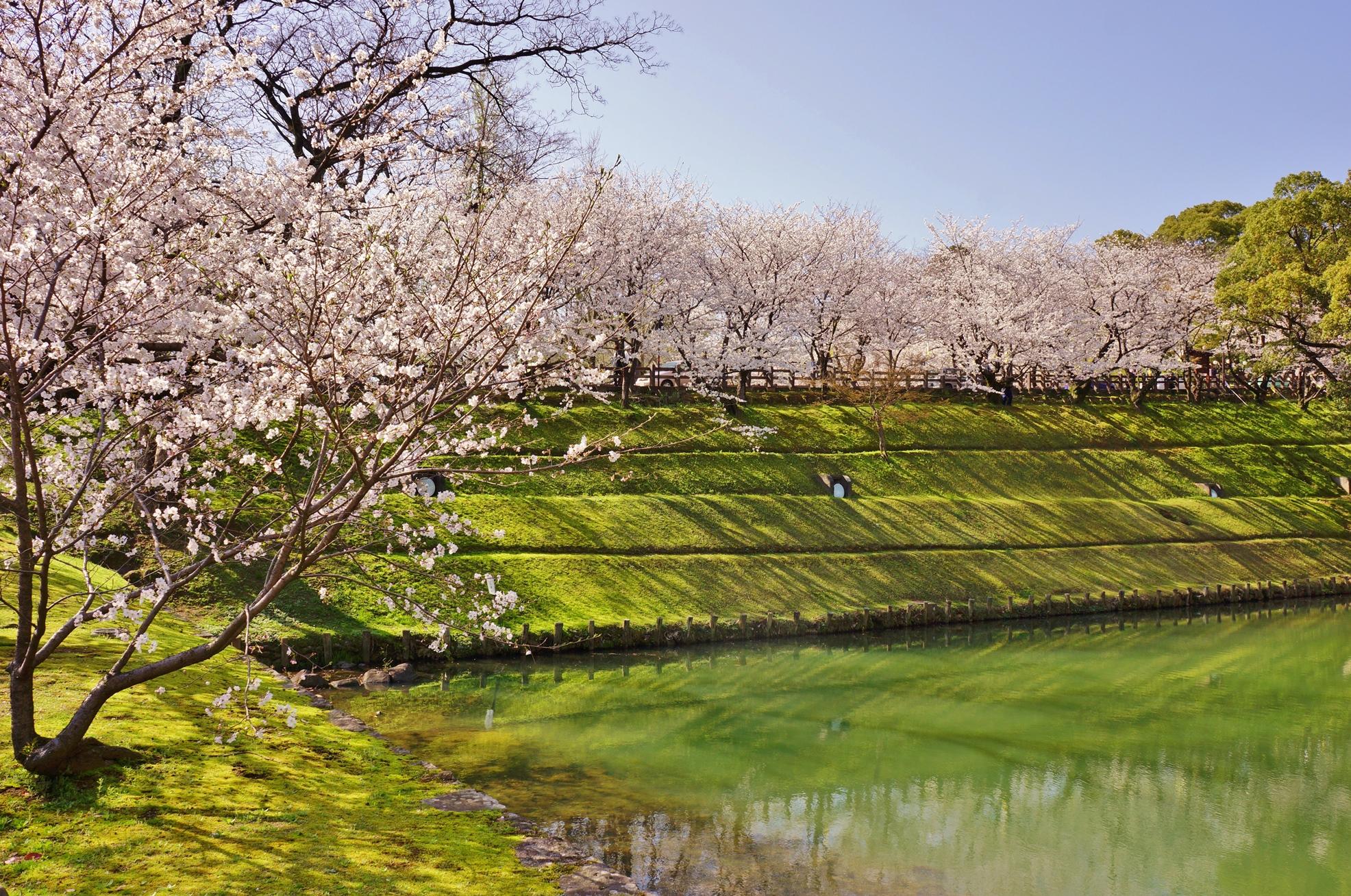 熊本城　備前堀