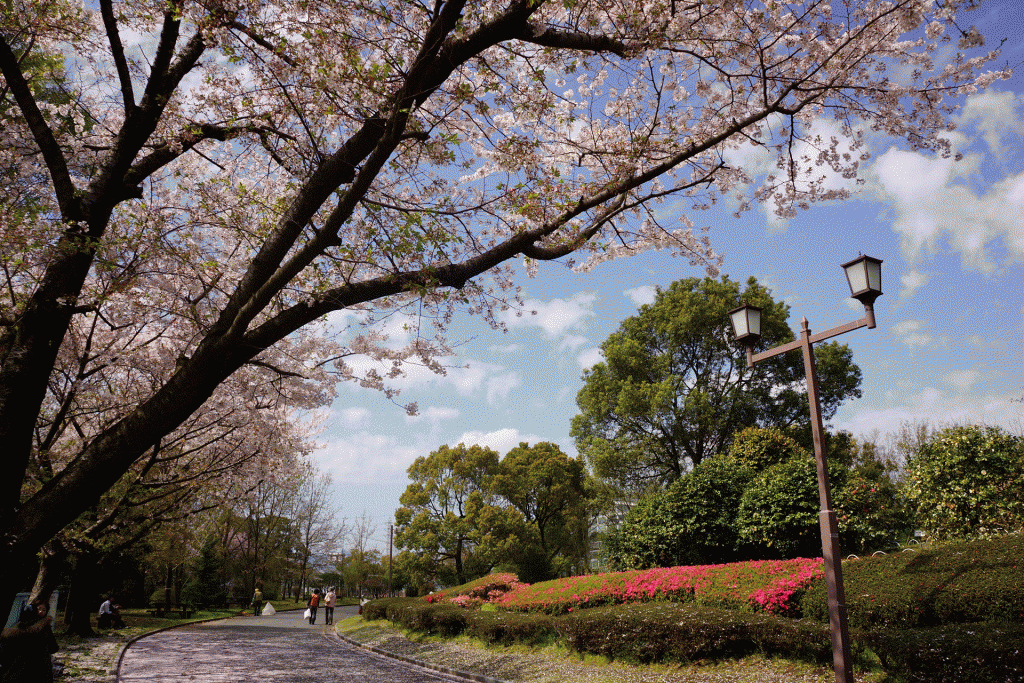 熊本市動植物園