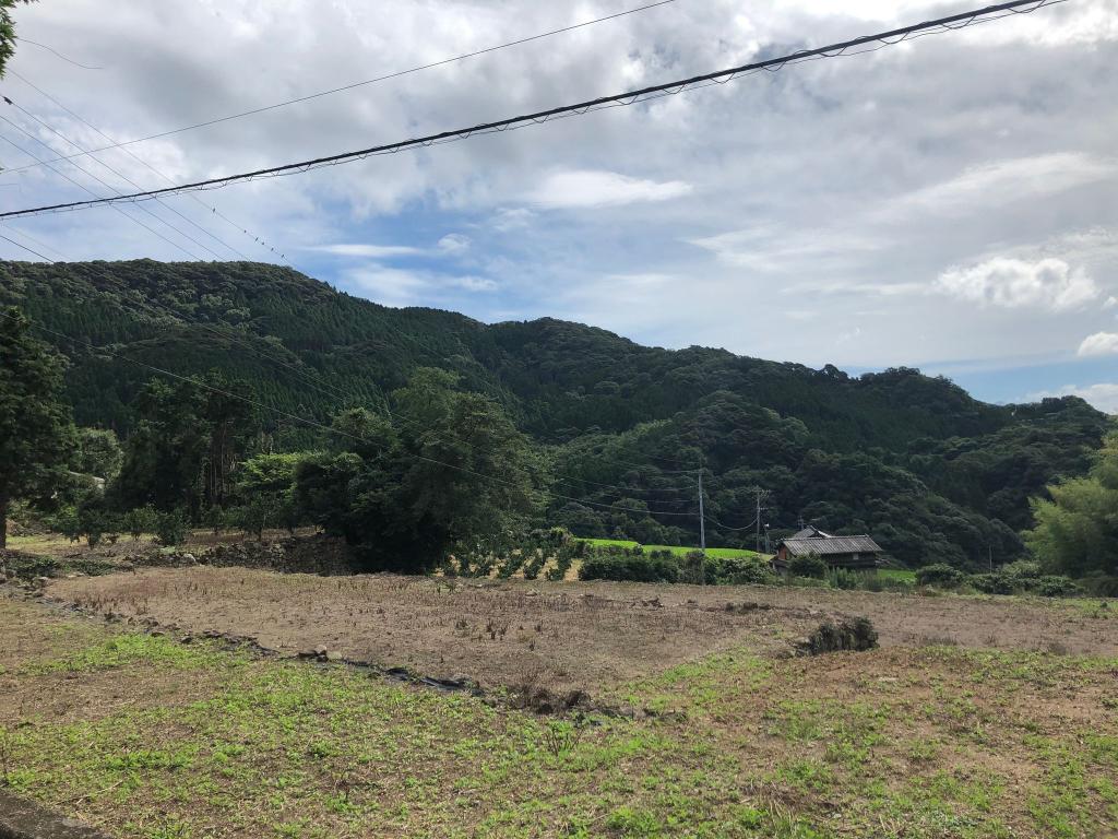 店の目前に広がる里山の風景