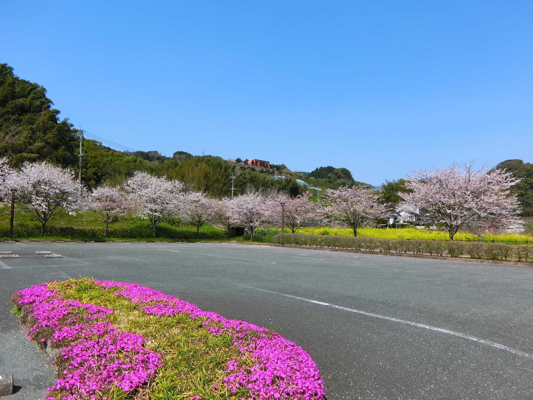 芝生広場