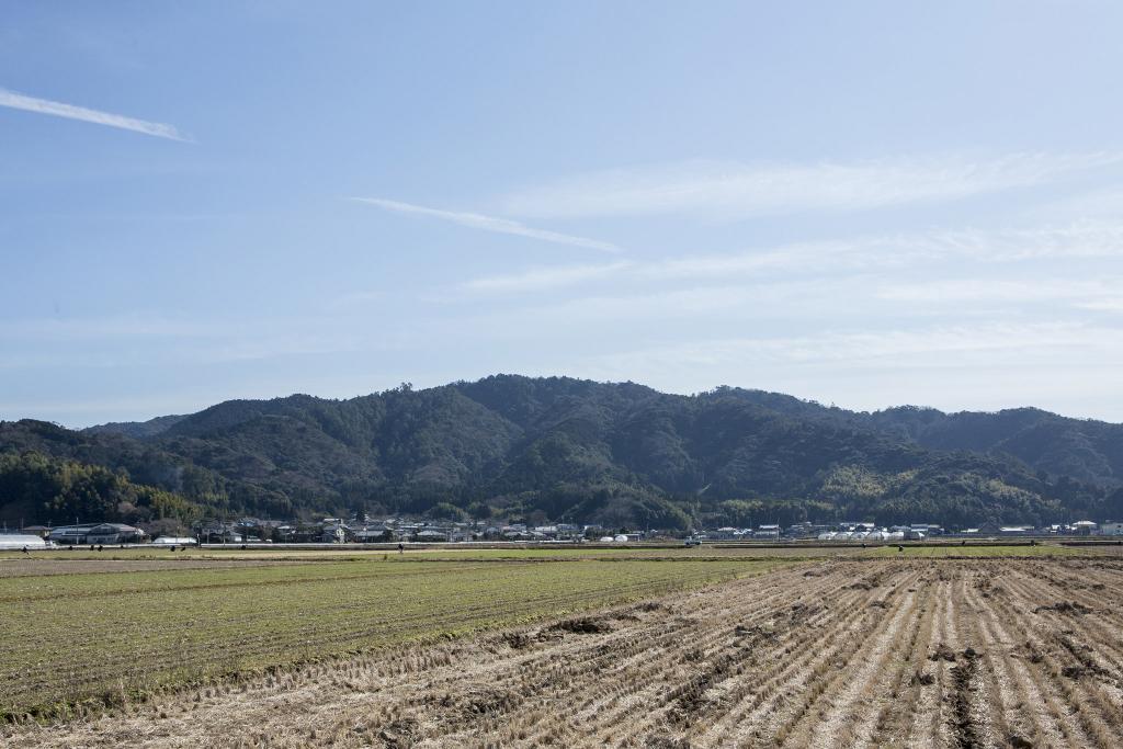 雁回山