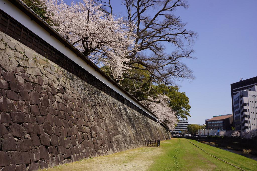 長塀通り