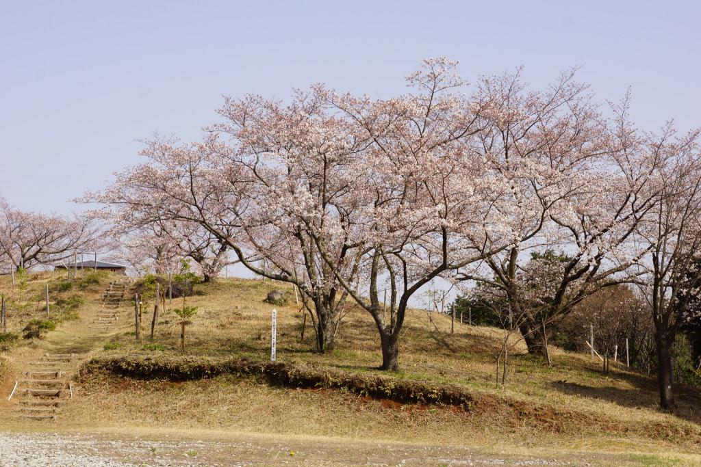 小萩園