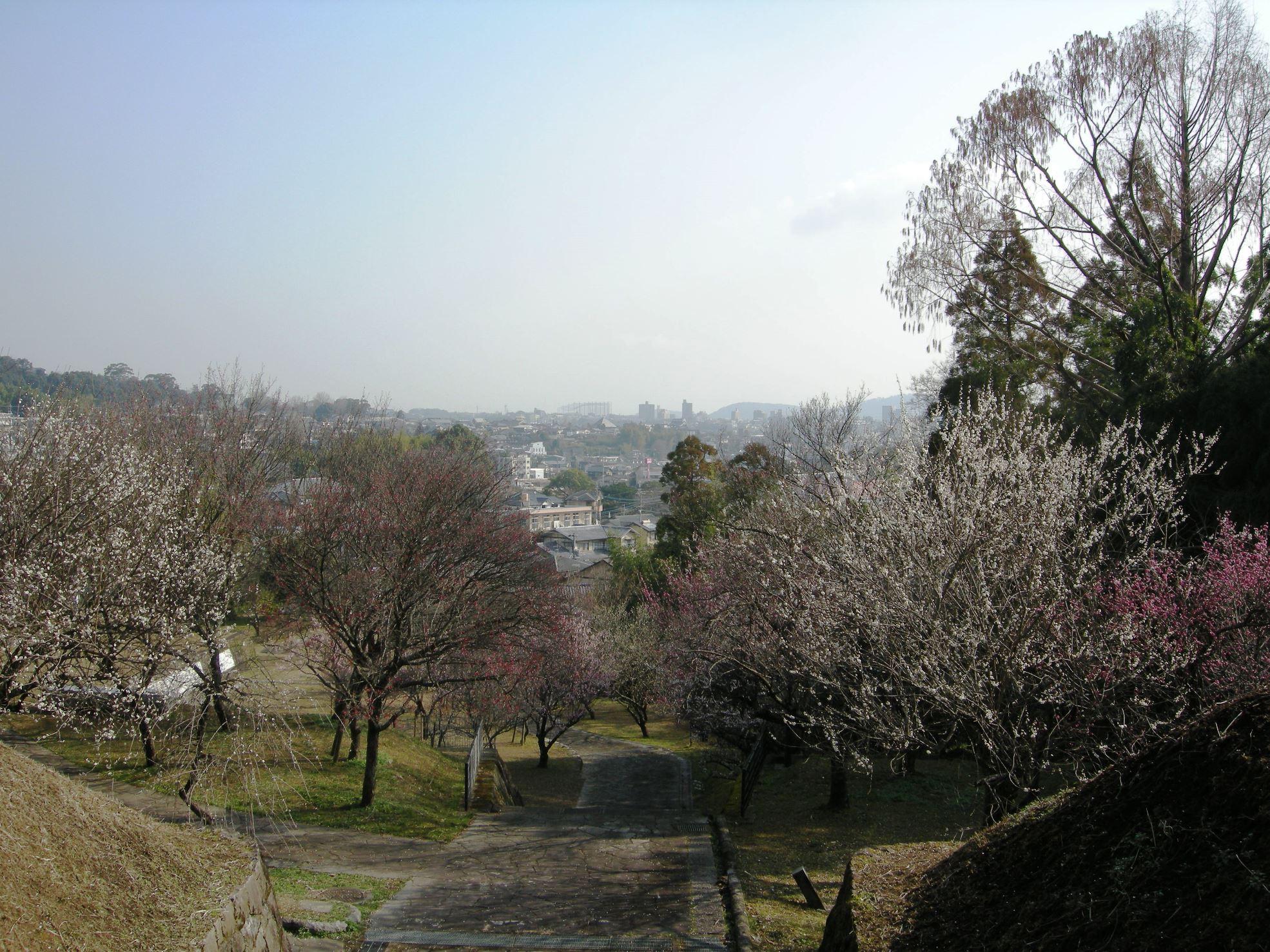 百梅園