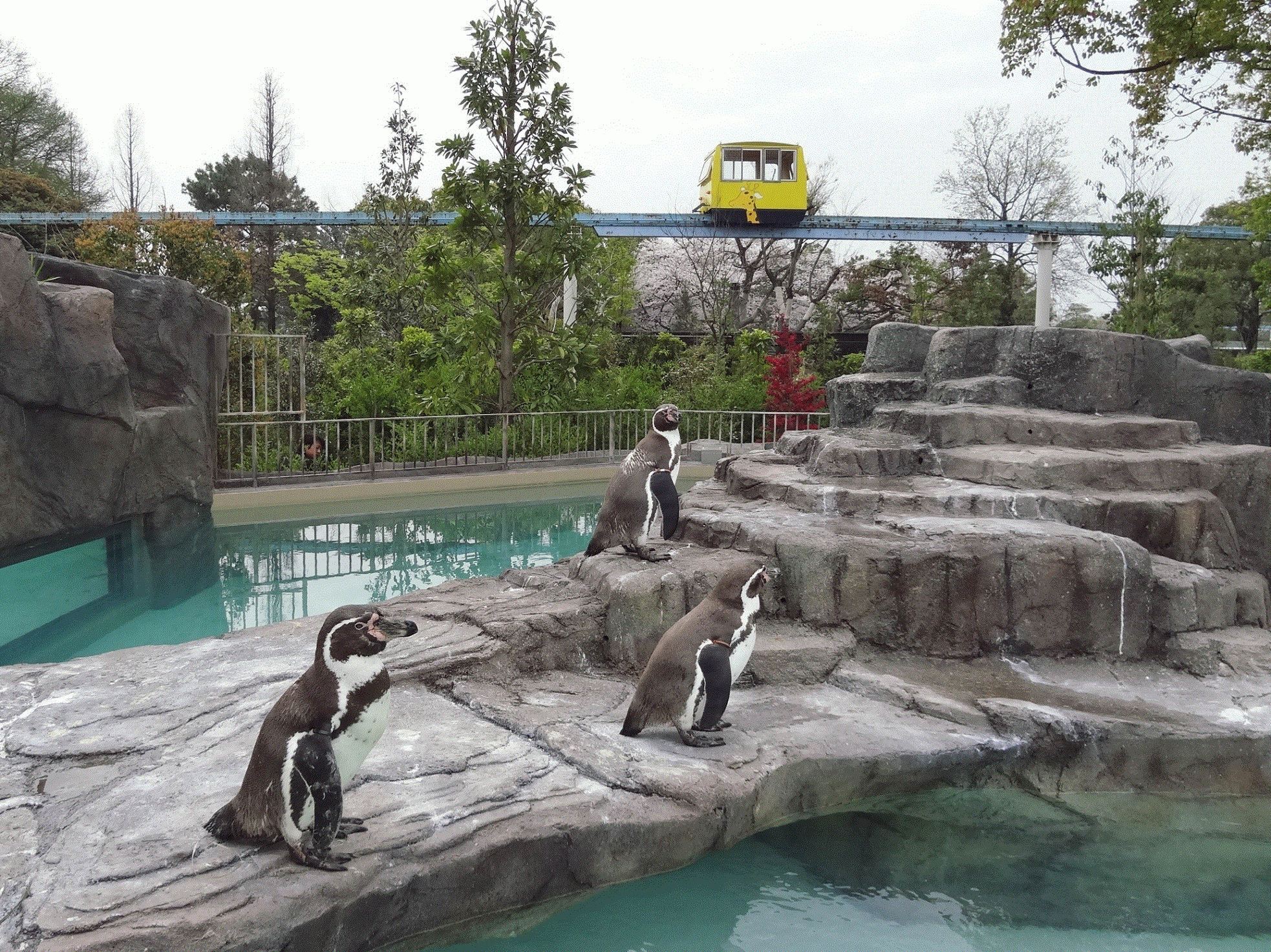 熊本市動植物園