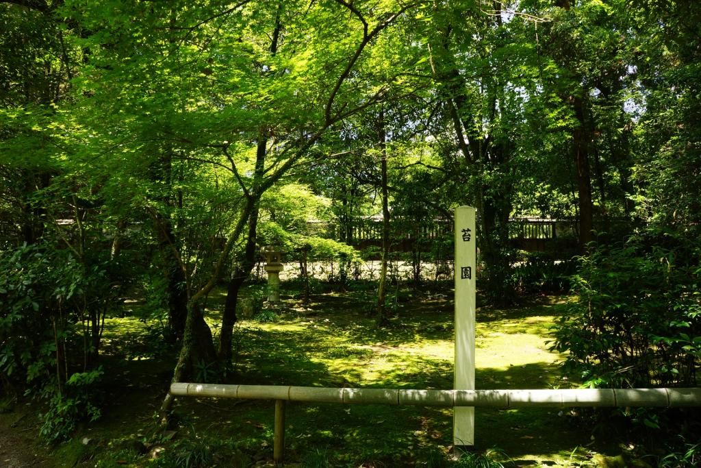 立田自然公園（苔園）