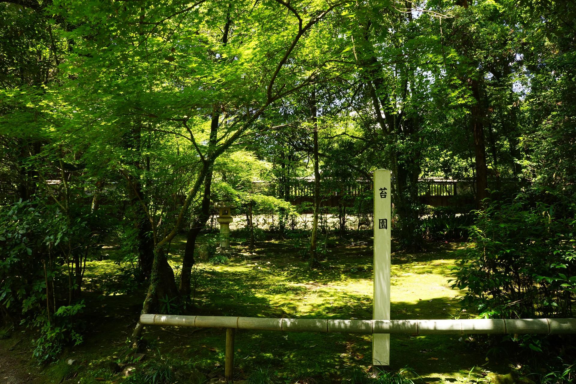 立田自然公園（苔園）