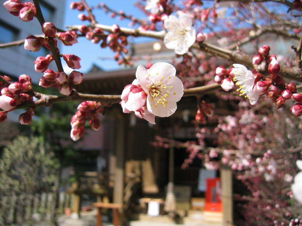 山崎菅原神社