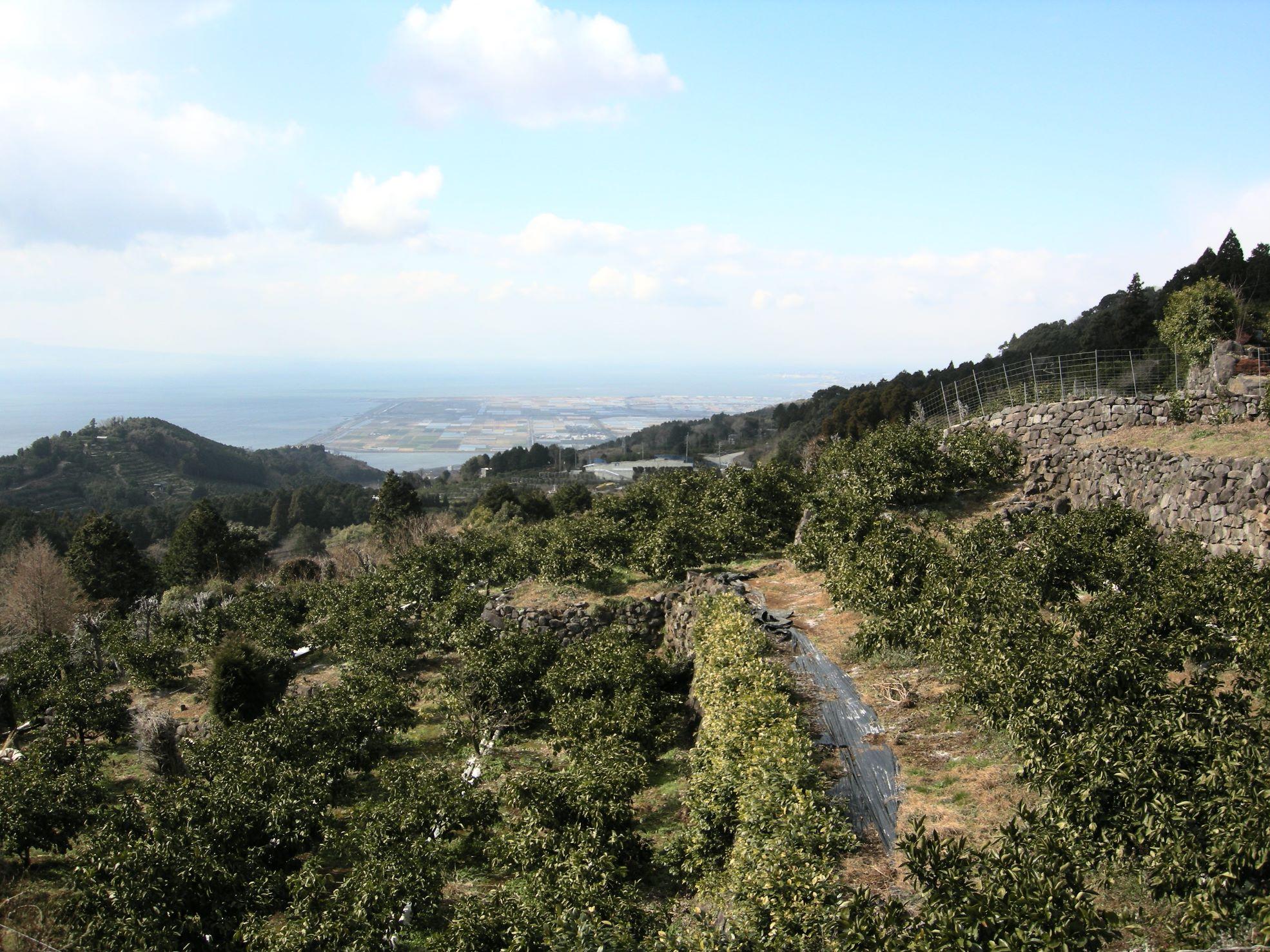 野出峠の茶屋公園