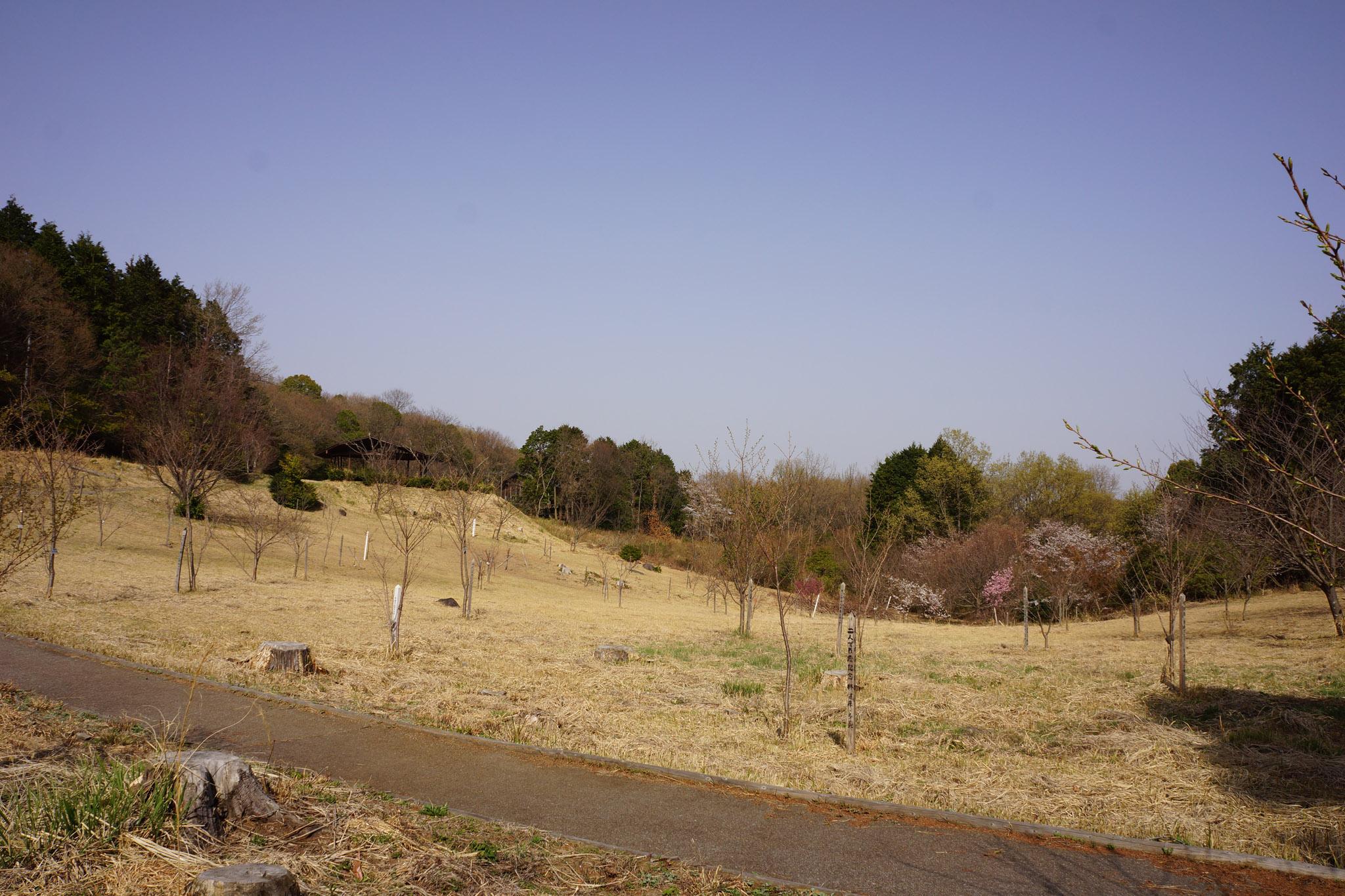 小萩園