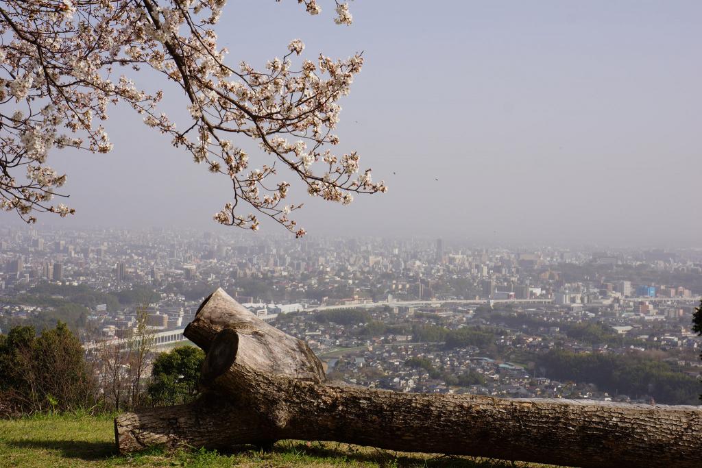 小萩園