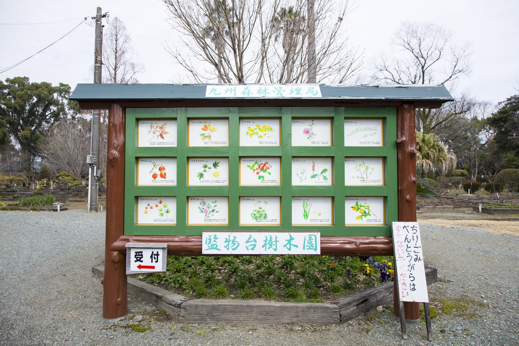 監物台樹木園