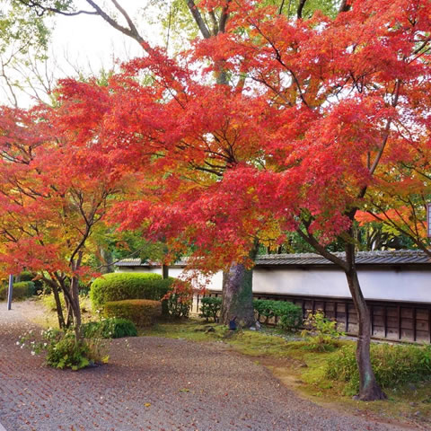 写真：旧細川刑部邸