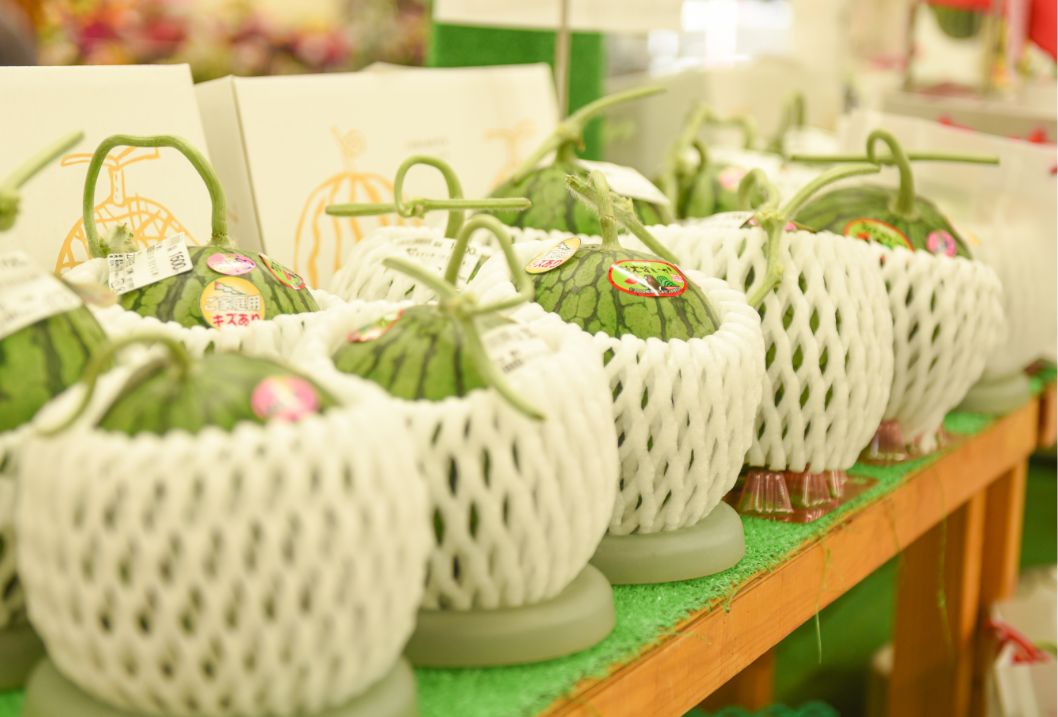 道の駅すいかの里 植木の写真01