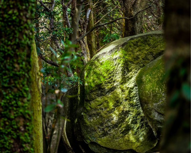 拝ヶ石巨石群の写真