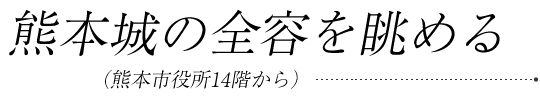 熊本城の全容を眺める（熊本市役所14階から）