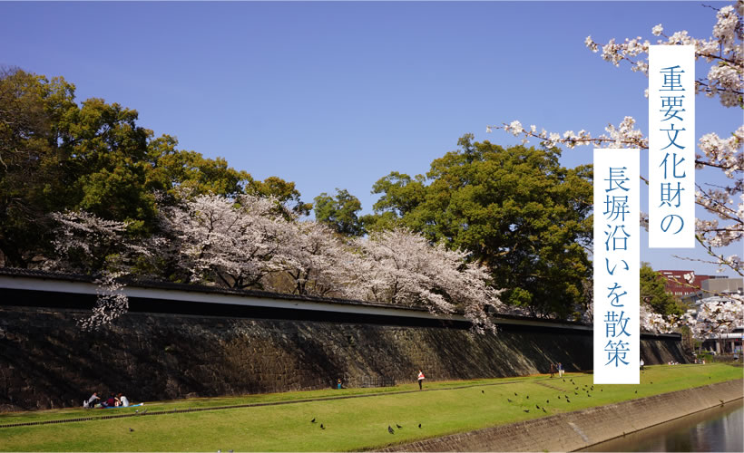 重要文化財の長塀沿いを散策