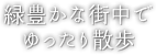 緑豊かな街中でゆったり散歩