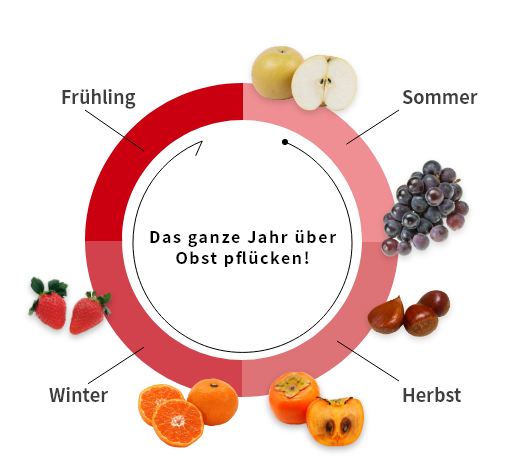Yuhoen Fruits Land