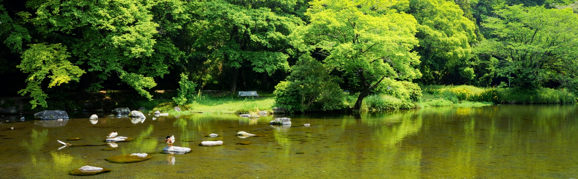 Mineralwasser aus dem Hahn