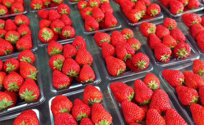 Les fruits mûrs et d’autres produits dans la ferme sont vendus dans son magasin. 