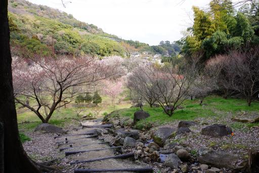 谷尾崎梅林公園（武蔵ゆかりの座禅石）