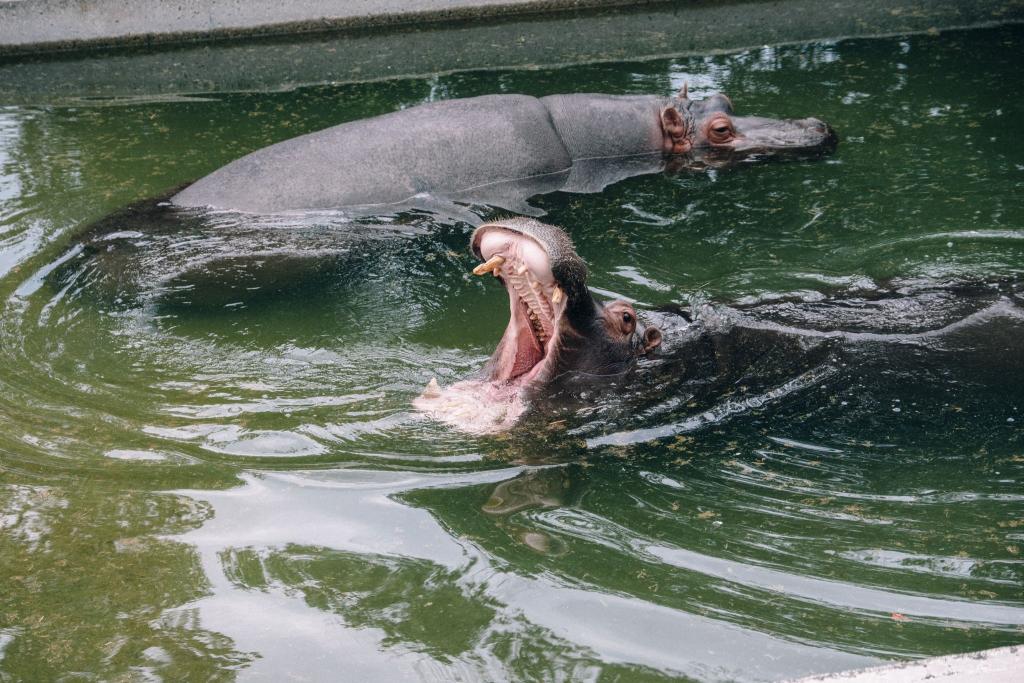 熊本市動植物園
