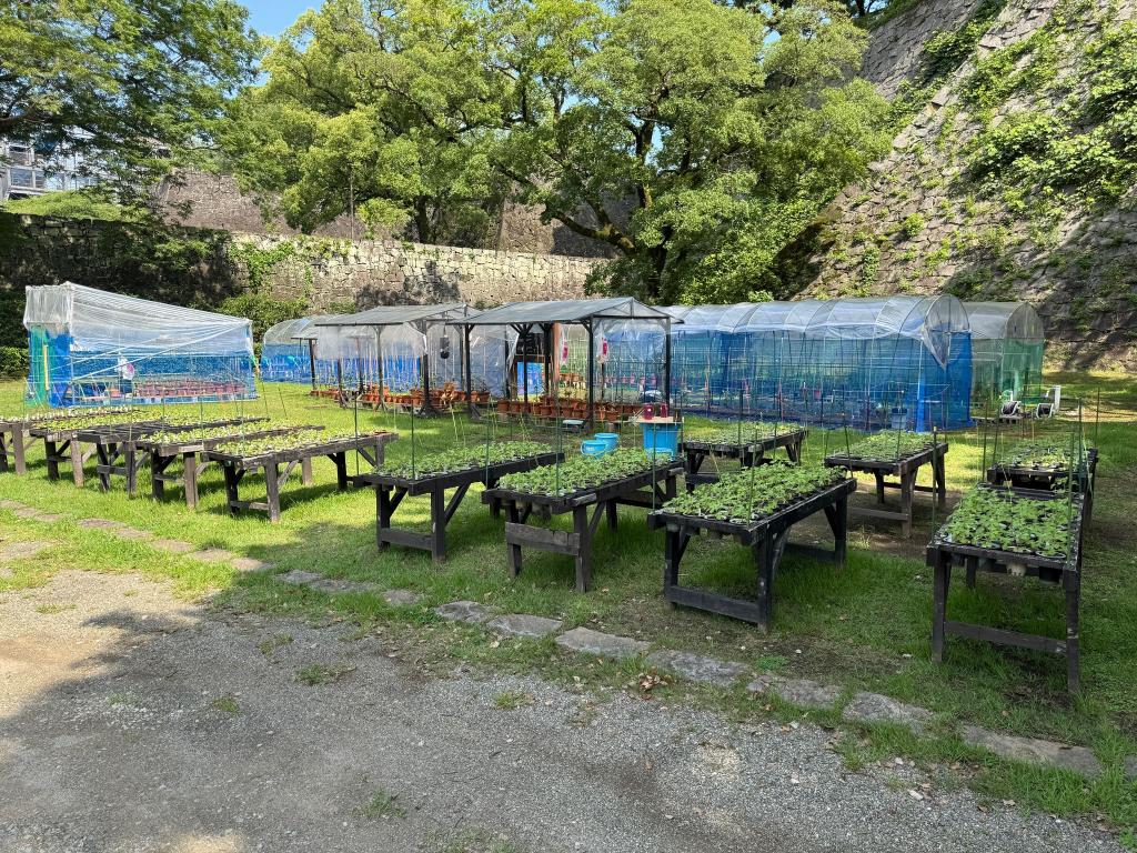 肥後名花園