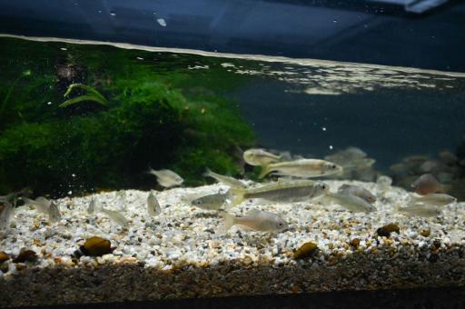 水辺のインフォメーションセンター