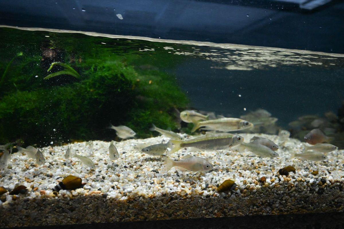 水辺のインフォメーションセンター