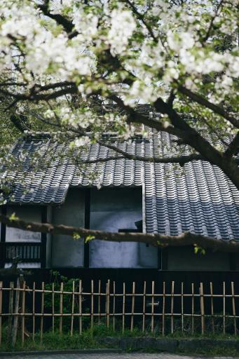 小泉八雲熊本旧居