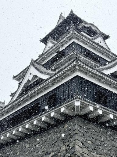 雪の天守閣