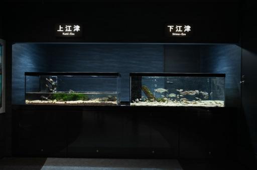 水辺のインフォメーションセンター