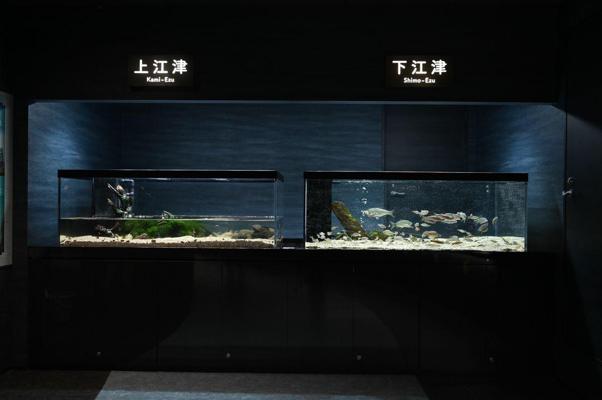 水辺のインフォメーションセンター