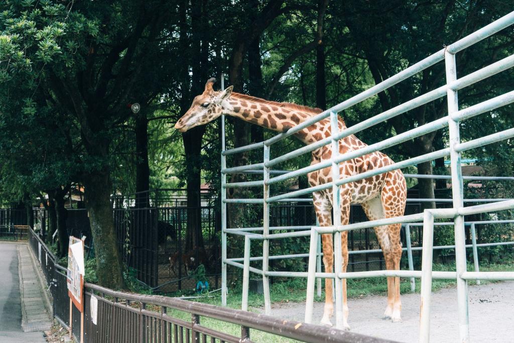熊本市動植物園