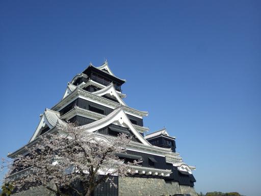 天守閣復旧後(桜)