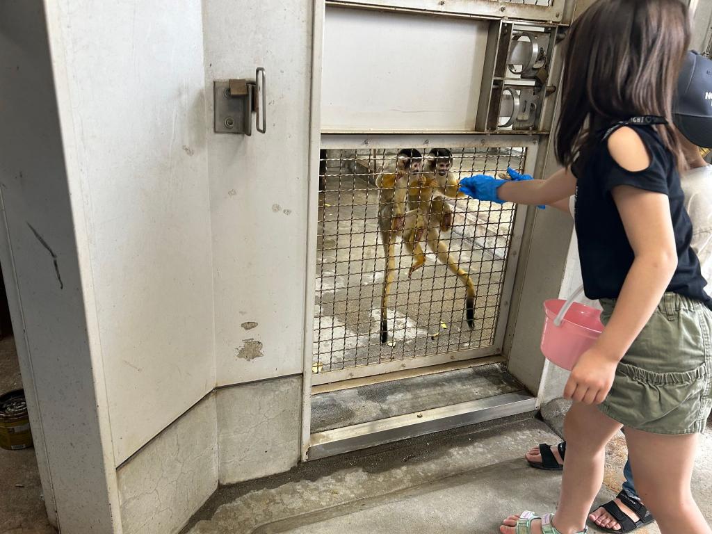 春のこどもまつり