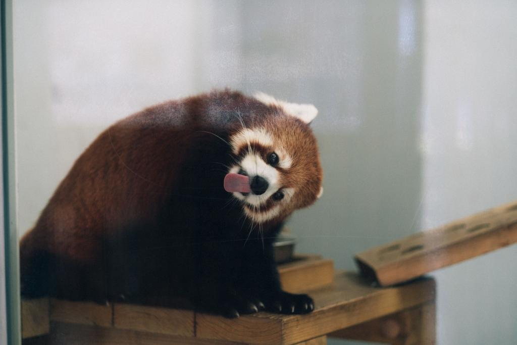 熊本市動植物園