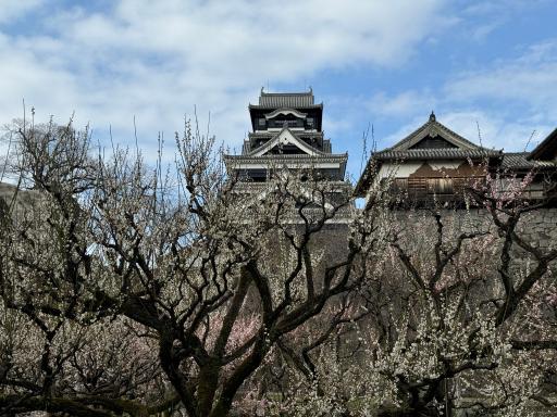天守と本丸御殿