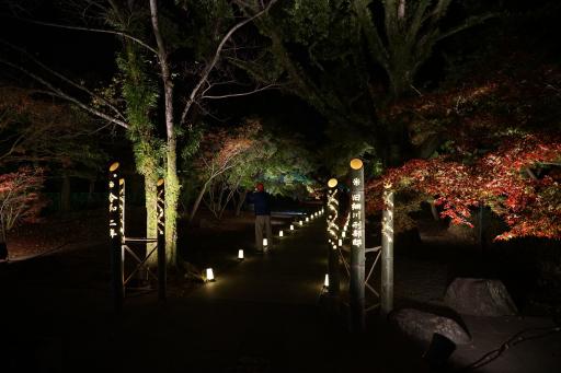 お城まつりライトアップ　旧細川刑部邸　➀