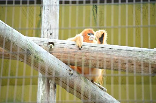 熊本市動植物園